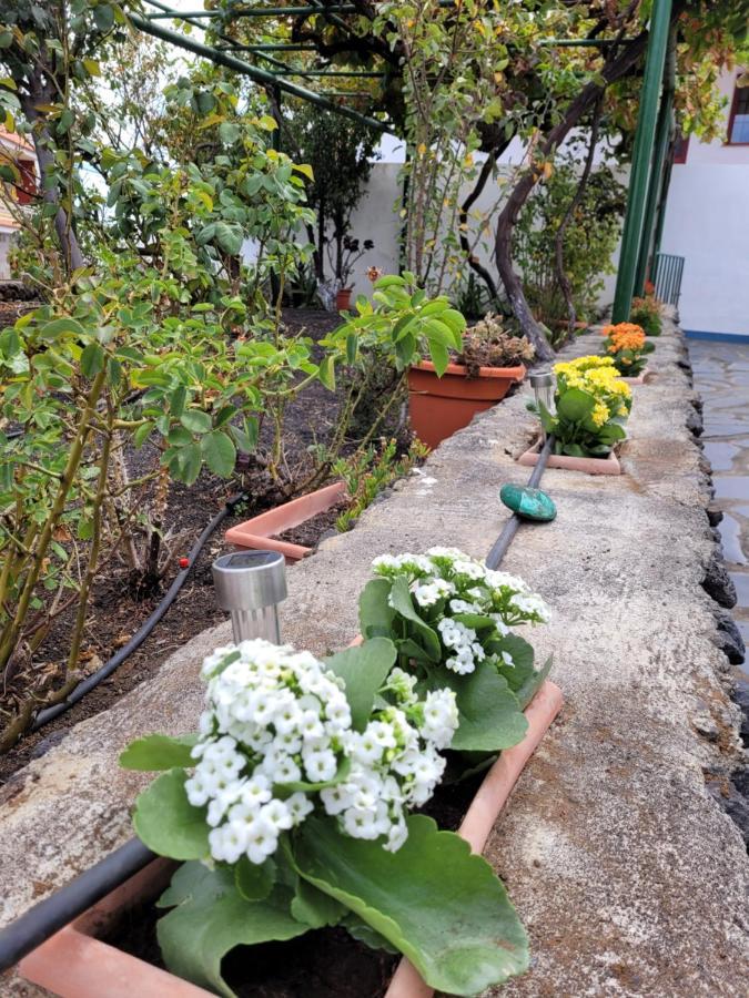Taibique Casa Natalia. 아파트 외부 사진